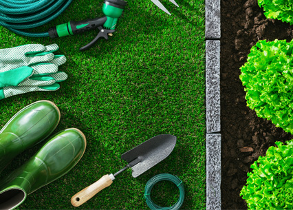 Promotion Jardinage 2019