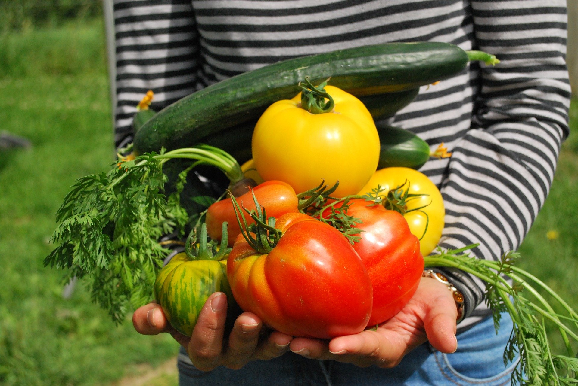 TOUS AU JARDIN!