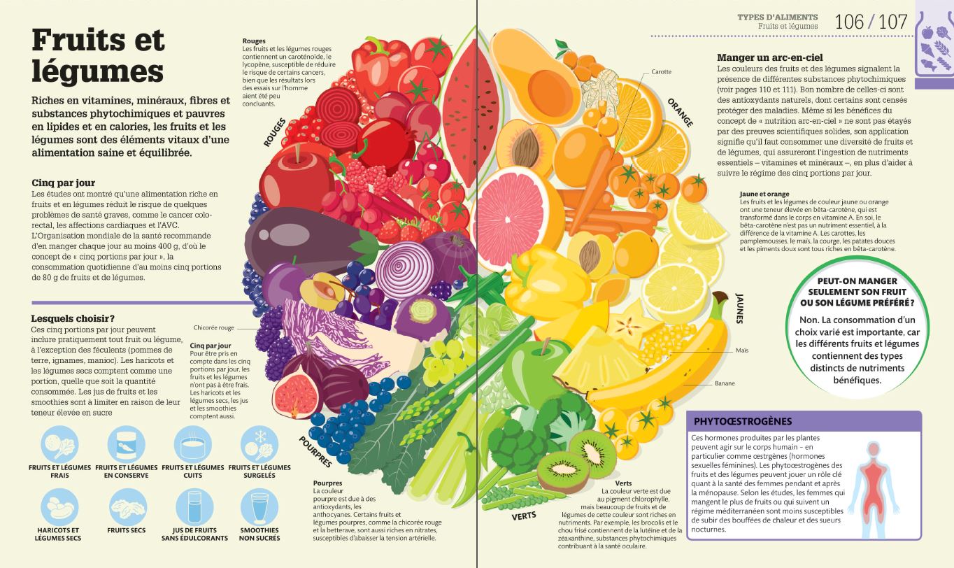PROMOTION - GUIDE VISUEL ET GRANDS CONCEPTS EXPLIQUÉS